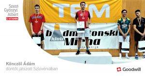 Goodwill Tisza Tollas SE