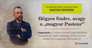 Hőgyes Endre