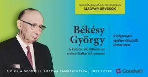 hallás