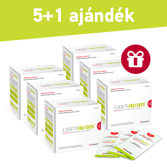 5+1_cartinorm+Biocollagen_tasakkal