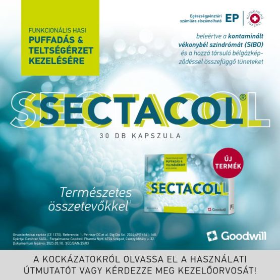 sect800800