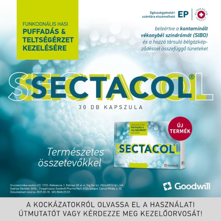 sect800800
