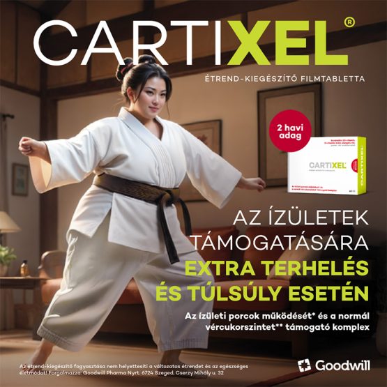 cartixel banner