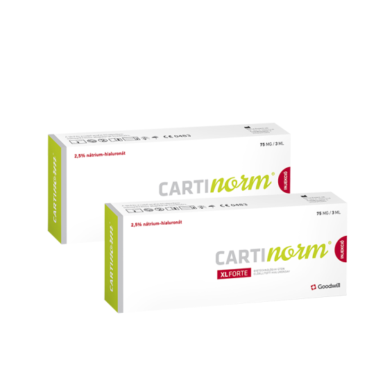 Cartinorm® XL Forte Injekció Duopack
