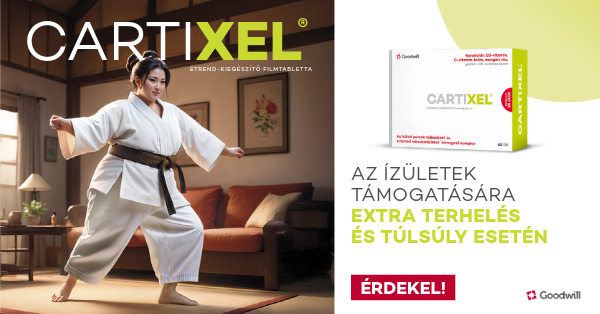 Cartixel_izuletek_tamogatasara