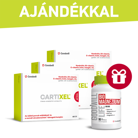 fél_eves_cartixel