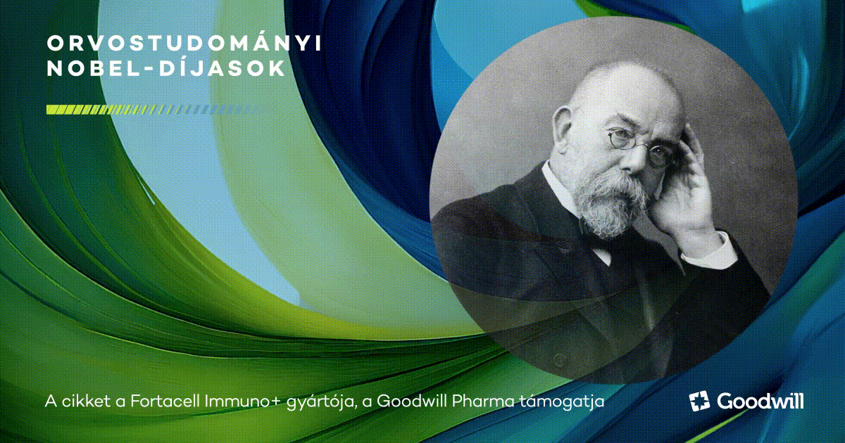 Robert Koch, a modern bakteriológia megalapítója, a tuberkulózis kórokozójának felfedezője