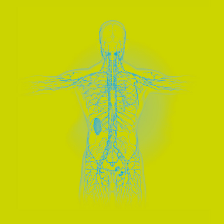 WILOXON kapszula - A pajzsmirigy * és az immunrendszer ** egészségéért.