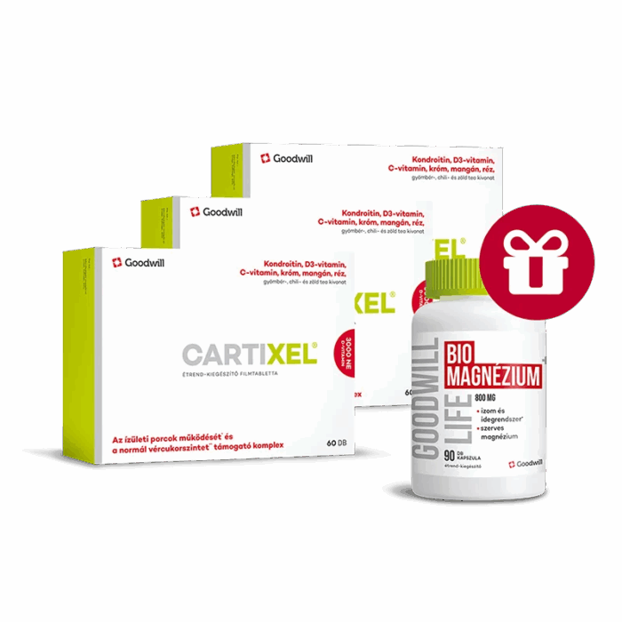 Cartixel fél éves csomag