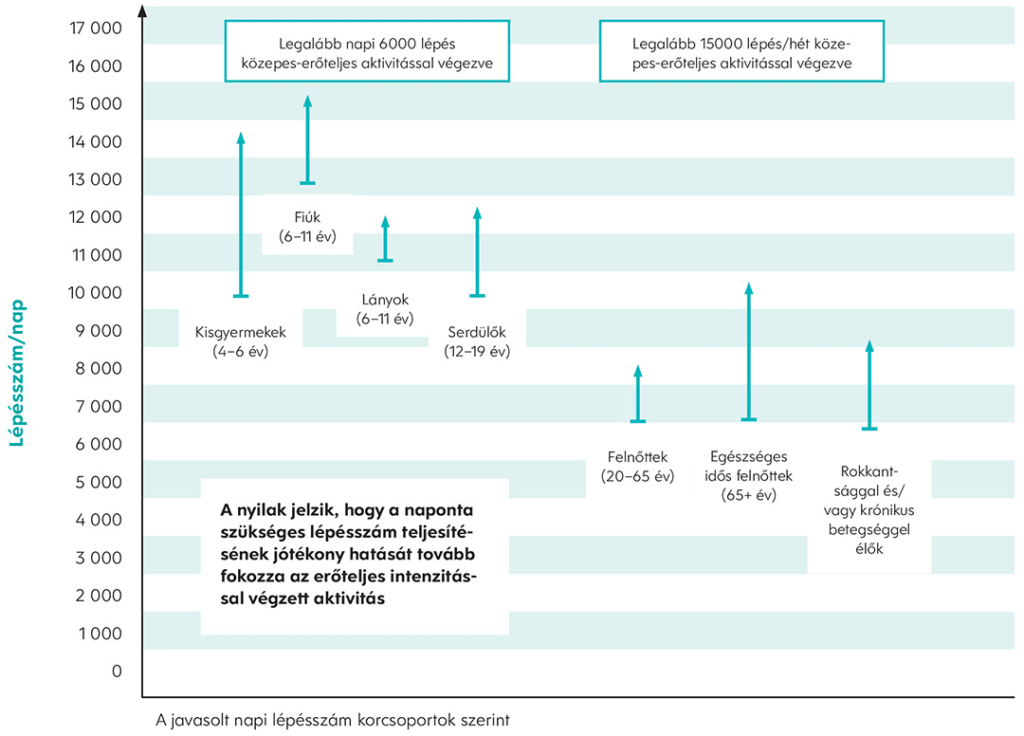Gyaloglás - napi lépésszám