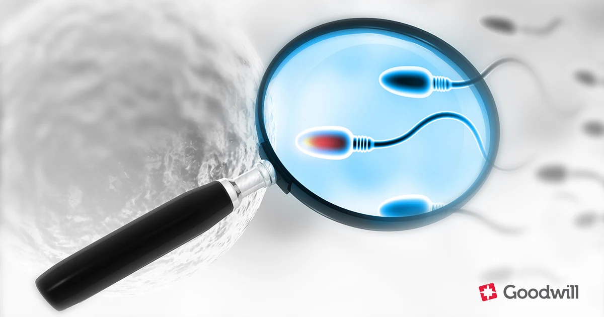 Spermavizsgálat – férfi termékenység