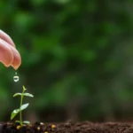 Cedezin Forte + Szelén - Immunrendszer erősítése cinkkel és szelénnel