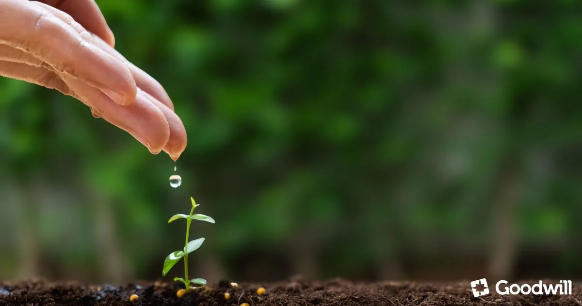 Cedezin Forte + Szelén - Immunrendszer erősítése cinkkel és szelénnel