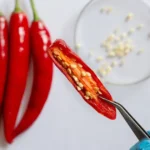 A kapszaicin hatása, szerepe az emésztésben, a zsírraktározásban