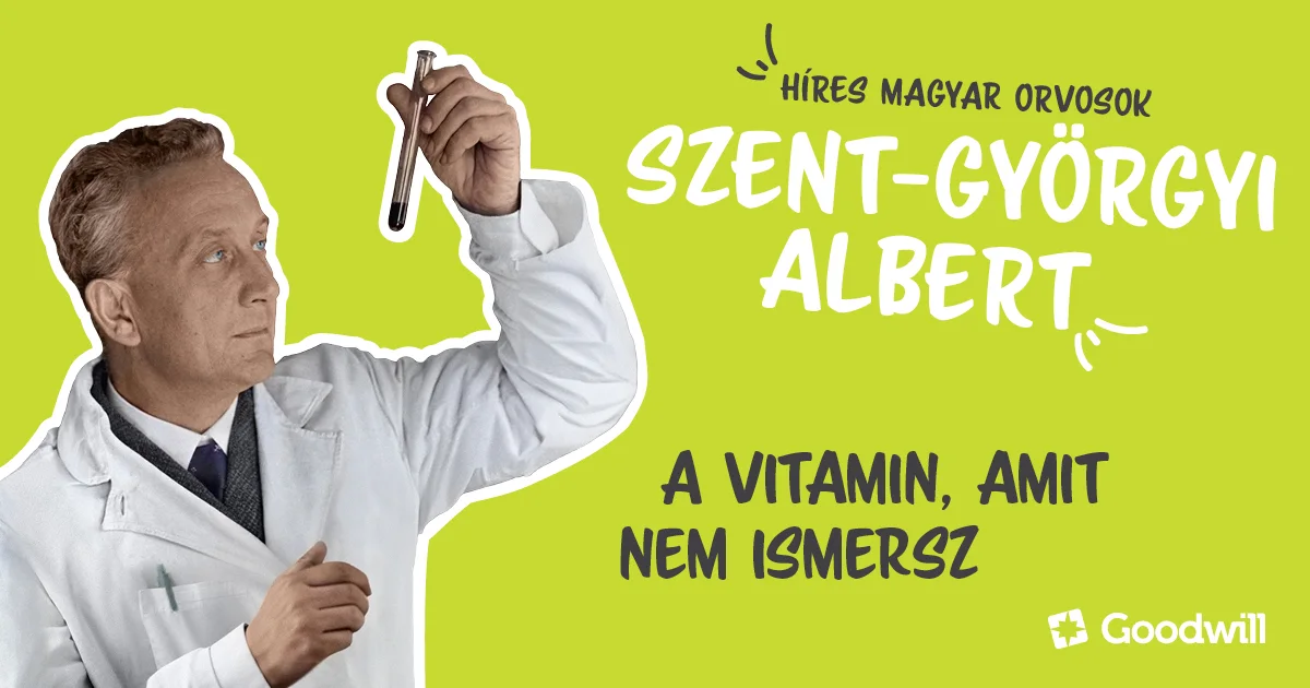 Szent-Györgyi Albert és a P-vitamin