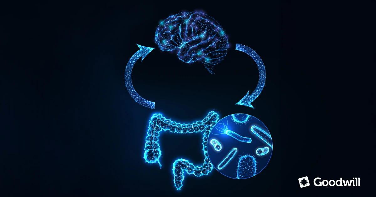 Testünk rejtett kapcsolata, a bél-agy tengely