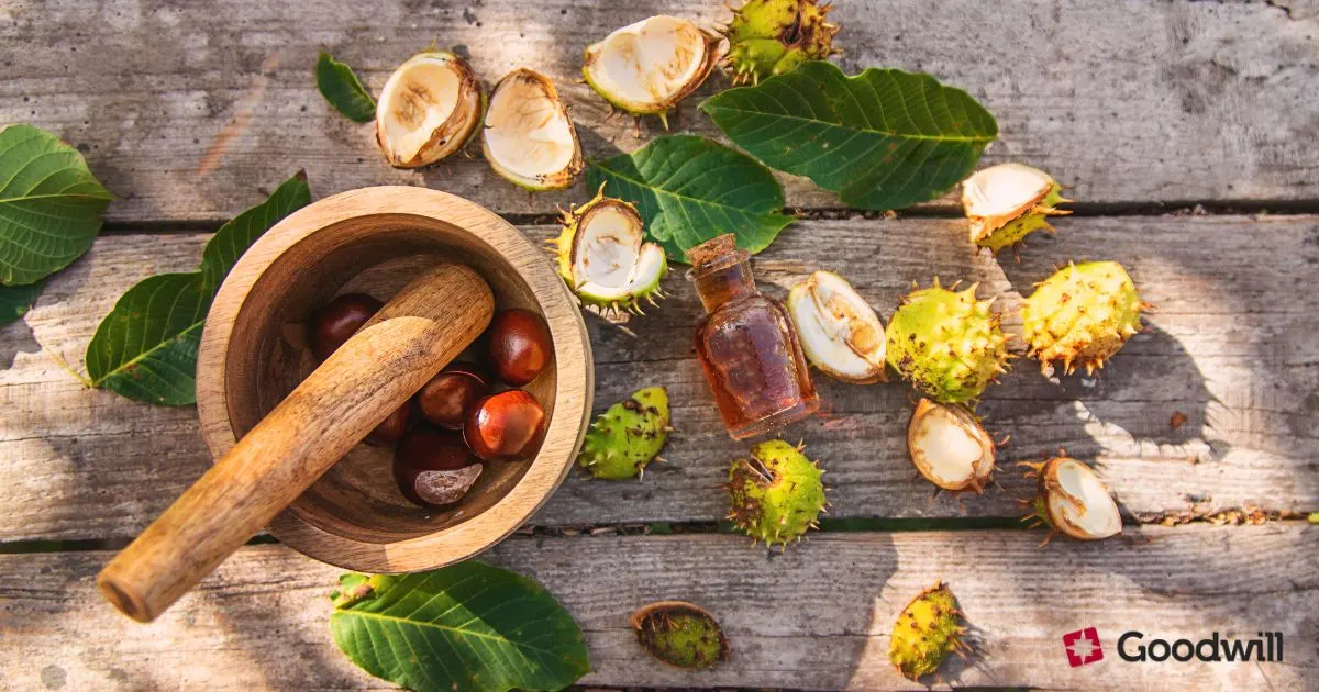 Vénás keringés javítása és nehézláb-érzés csökkentése vadgesztenye-kivonattal - Vendobrexon