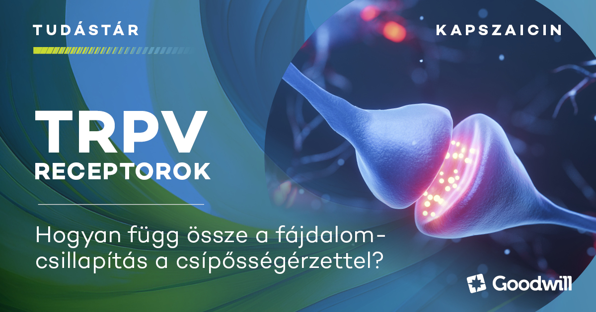 A kapszaicin receptor titka