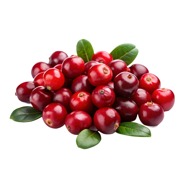 Florabalance® Urobiotic + Tőzegáfonya kapszula élőflórával