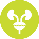 Florabalance® Urobiotic + Tőzegáfonya kapszula élőflórával