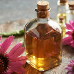 Echinacea – Természetes támogatás az immunrendszer számára