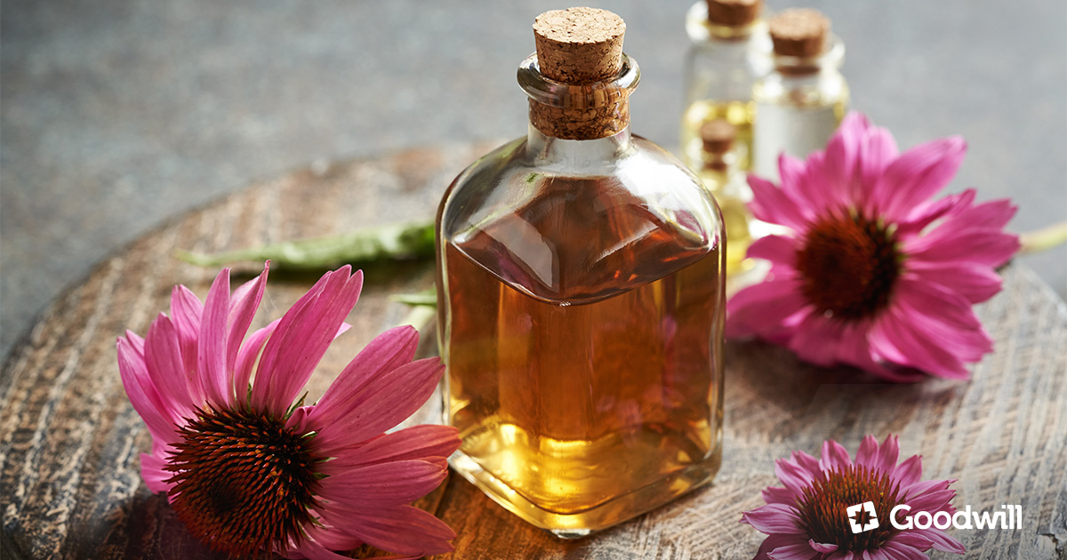 Echinacea – Természetes támogatás az immunrendszer számára