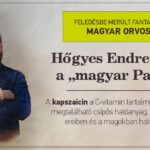 Hőgyes Endre tt cikk