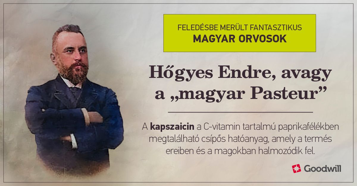 Hőgyes Endre tt cikk