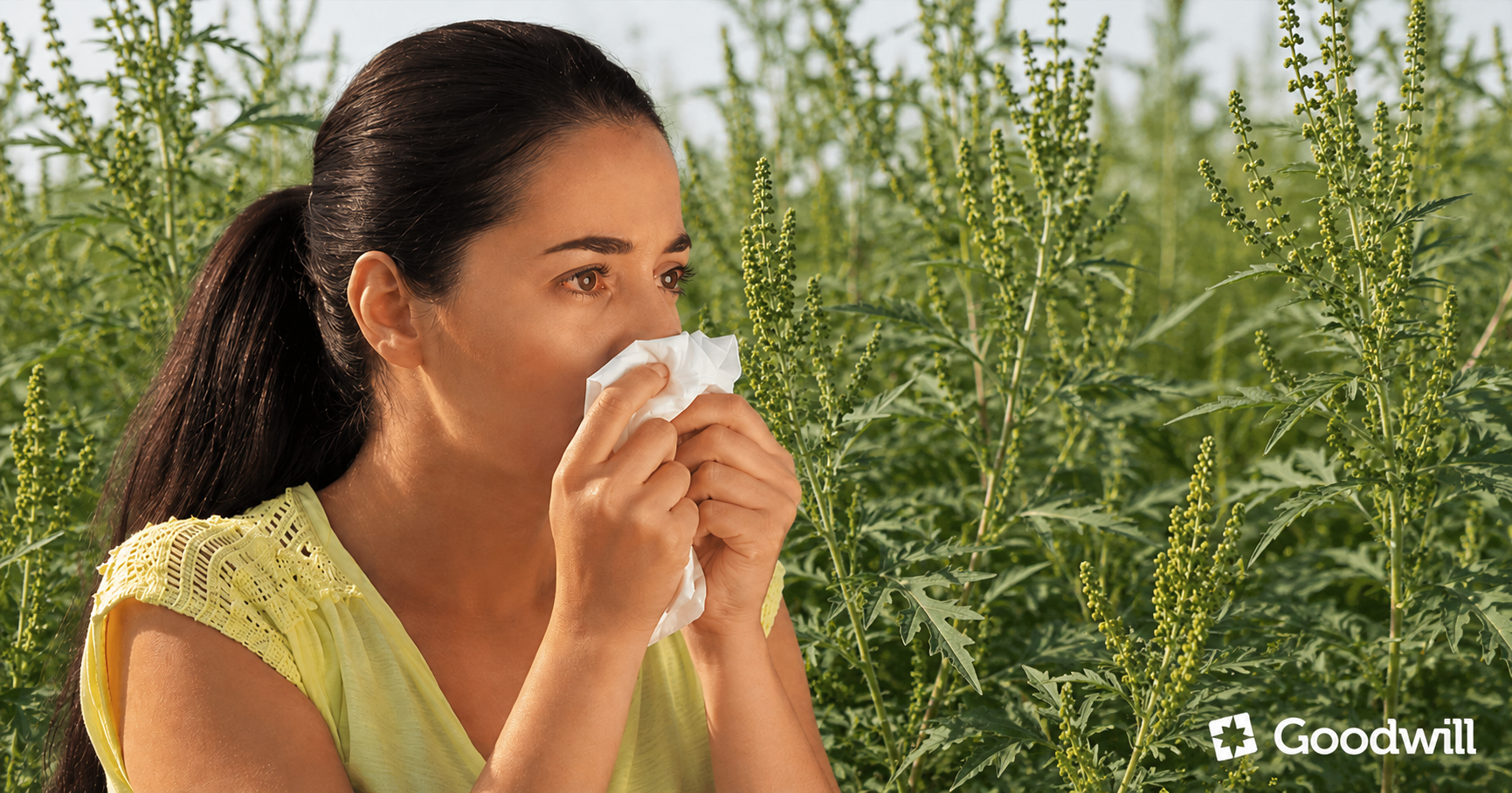 Eyejuice Allergy szemcsepp parlagfű - és allergiaszezonban allergiás kötőhártya-gyulladásra